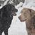 Coleen O' Rourke Shumate's profile image
