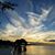 Sue Knaub's profile image