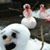 William Fredres's profile image