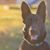 Tiffany Tadlock's profile image