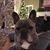 Kelly Houston's profile image