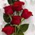 Lorena Diaz's profile image