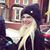 Luana Cretulescu's profile image