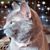 Laura Hickman's profile image