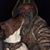 Zach Bekemeier's profile image