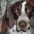 Don-Barb Coffman's profile image