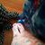 Annalisa Hopwood Abate's profile image