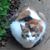 Jackie Bishop Unger's profile image