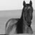 Angelin Lee Floyd's profile image