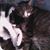 Diane Coleman's profile image
