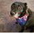 Wanda Johnson's profile image
