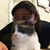 Abbey Choma's profile image