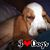 Kate Wilson's profile image
