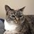 Kerry Magdaleno's profile image
