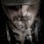 Frank Castle's profile image