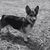 Lisa Gerlinger's profile image
