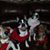 Lori Clements's profile image