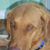 Karen Landau's profile image