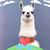 Tyler Koenig's profile image