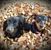 Flossie Presley's profile image
