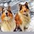 Sally Shaw Varga's profile image