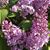 Jennifer Matasic's profile image