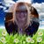 Natalie Diamond's profile image