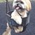 Hershy Martinez's profile image
