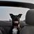 D Leslie Young's profile image