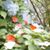 Barbara Grimsley's profile image