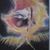 Donna Ciardi's profile image