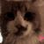 Sabrena Stephenson's profile image