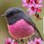 Dawn M Medina's profile image