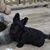 Laurie Knoche Ganzer's profile image