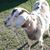 Maggie Beth Smith's profile image