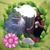 Brenda Paulsen's profile image