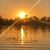 Sharon Dantin-Krebs's profile image