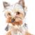 Mavis N Garry's profile image