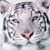 Jackie Thompson's profile image