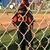 Cris Mendez's profile image
