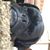 Jayson Gittins's profile image