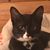 Katharine Anne's profile image
