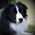 Vicki Hughes's profile image