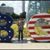 Mary D. Collins's profile image