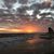 Denise Wadsworth Trimm's profile image