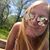 Skylar Peck's profile image