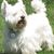 Bill MacDonell's profile image