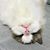 미아칼라's profile image