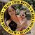 Jacqlynn Klein's profile image