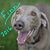 Susan Anderson's profile image